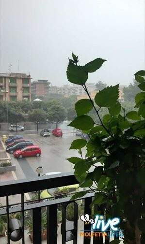 Vento e pioggia torrenziale su Molfetta