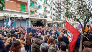 Crisi olivicola e caro gasolio, la maggioranza progressista al fianco degli agricoltori